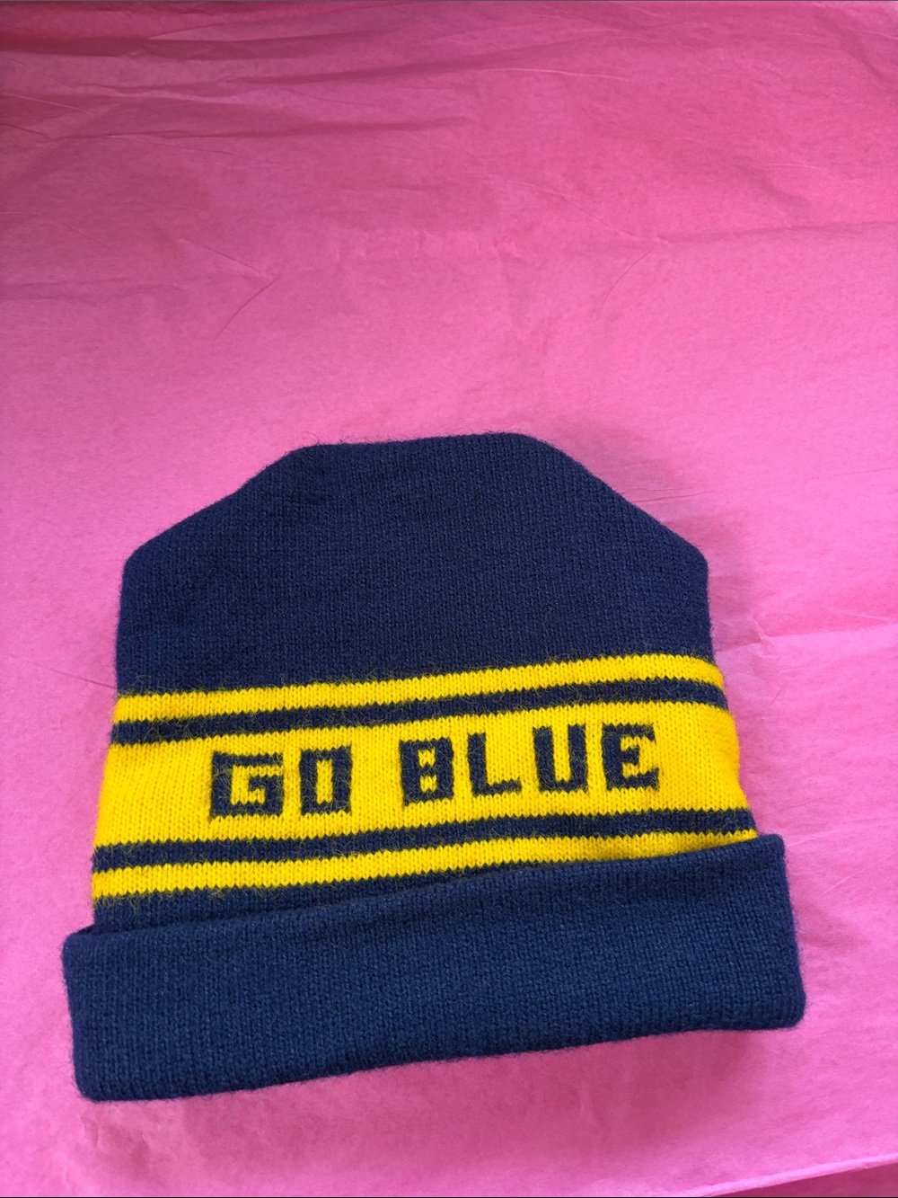 Men's Navy and Yellow 'Go Blue' Knit Beanie
